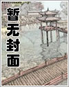 全职丫鬟：我的将军大人